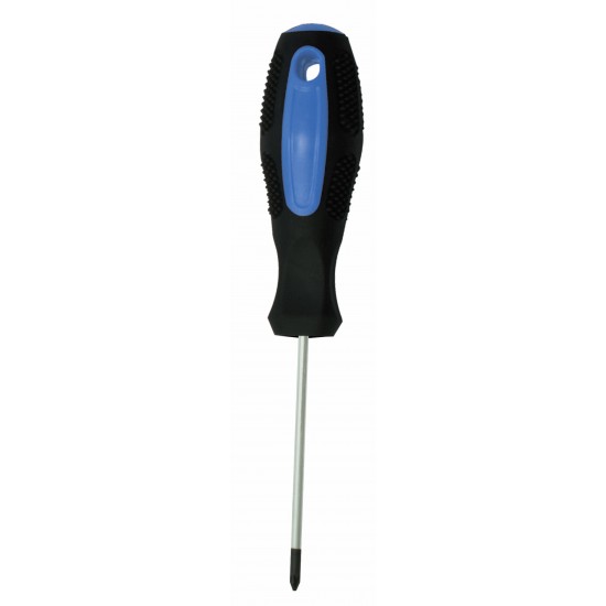 PZ2 x 100mm Pozi Screwdriver